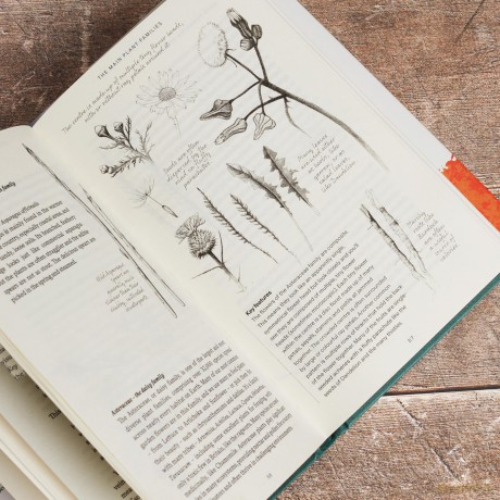 Free Food: Wild Plants and How to Eat Them - Mo Wilde [KSIĄŻKA]