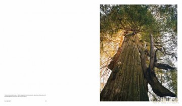 Mitch Epstein: American Nature - Brian Wallis [KSIĄŻKA]