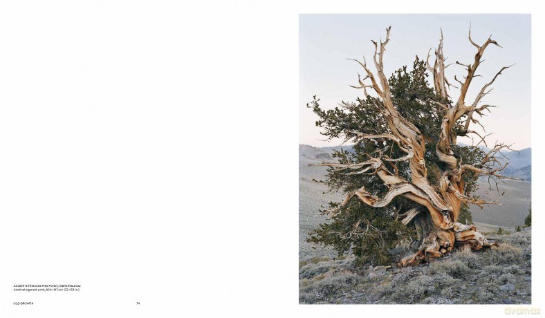 Mitch Epstein: American Nature - Brian Wallis [KSIĄŻKA]