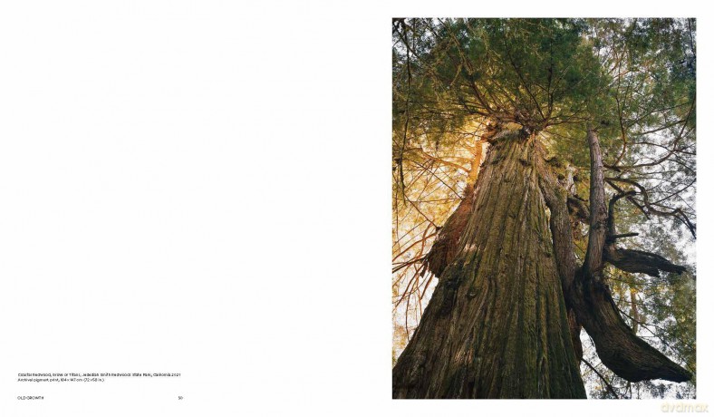 Mitch Epstein: American Nature - Brian Wallis [KSIĄŻKA]