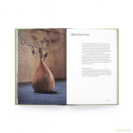The Green-Wood Carver: Slow woodcraft for beginners - Samuel Alexander [KSIĄŻKA]
