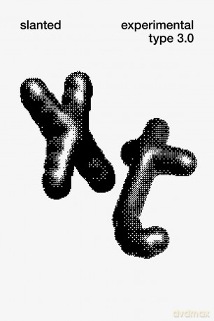 Slanted Experimental Type 3.0 - Lars Harmsen [KSIĄŻKA]