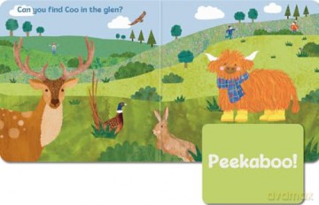 Peekaboo Coo - A Lift-the-Flap Board Book - Rachel McGaw [KSIĄŻKA]