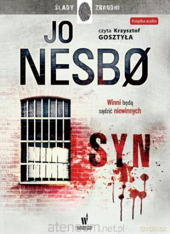Syn [AUDIOBOOK]