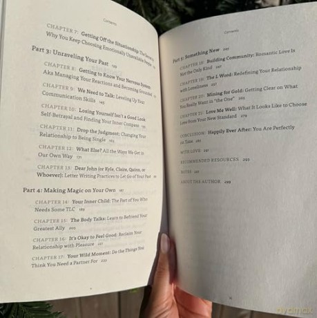 Choose Your Self: How to Embrace Being Single, Heal Core Wounds, and Build a Life You Love - Megan Sherer [KSIĄŻKA]