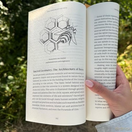 The Wisdom of the Hive: What Honeybees Can Teach Us about Collective Wellbeing - Michelle Cassandra Johnson [KSIĄŻKA]