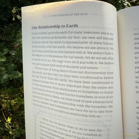 The Wisdom of the Hive: What Honeybees Can Teach Us about Collective Wellbeing - Michelle Cassandra Johnson [KSIĄŻKA]