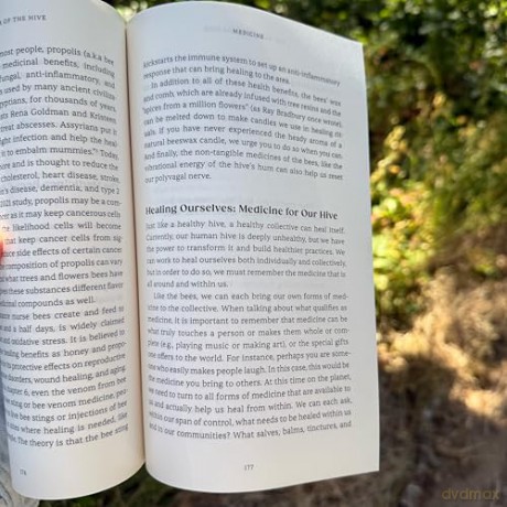 The Wisdom of the Hive: What Honeybees Can Teach Us about Collective Wellbeing - Michelle Cassandra Johnson [KSIĄŻKA]