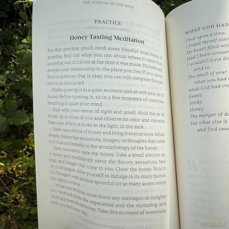 The Wisdom of the Hive: What Honeybees Can Teach Us about Collective Wellbeing - Michelle Cassandra Johnson [KSIĄŻKA]