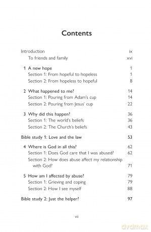 No Visible Scars: An Always Hopeful guide to healing from domestic abuse as a Christian - Sally Hope [KSIĄŻKA]