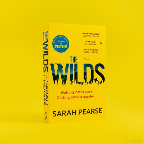 The Wilds: The thrilling new mystery from the bestselling author of The Sanatorium (Elin Warner Series) - Sarah Pearse [KSIĄŻKA]
