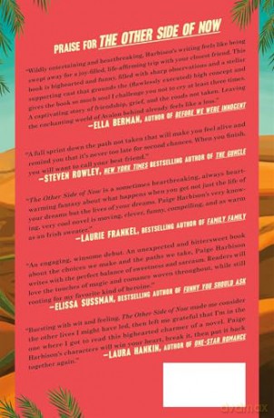 The Other Side of Now: A Novel - Paige Harbison [KSIĄŻKA]