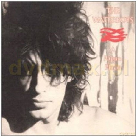 The Waterboys: A Pagan Place (Remastered) [CD]