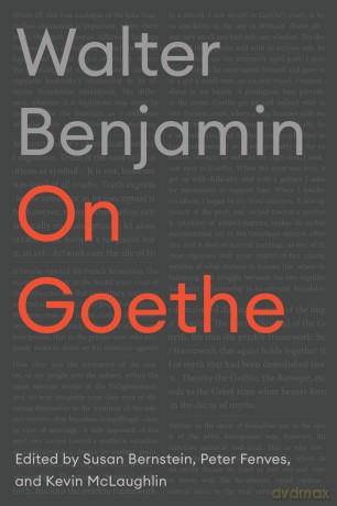 On Goethe (Cultural Memory in the Present) - Walter Benjamin [KSIĄŻKA]