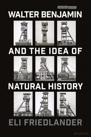 Walter Benjamin and the Idea of Natural History (Cultural Memory in the Present) - Eli Friedlander [KSIĄŻKA]