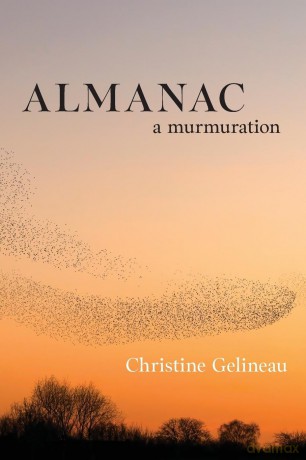 Almanac: A Murmuration (Excelsior Editions) - Christine Gelineau [KSIĄŻKA]