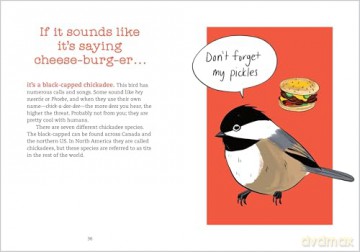 Bird Talk: Hilariously Accurate Ways to Identify Birds by the Sounds They Make - Becca Rowland [KSIĄŻKA]