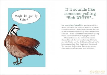 Bird Talk: Hilariously Accurate Ways to Identify Birds by the Sounds They Make - Becca Rowland [KSIĄŻKA]
