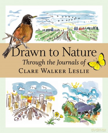 Drawn to Nature: Through the Journals of Clare Walker Leslie - Clare Walker Leslie [KSIĄŻKA]
