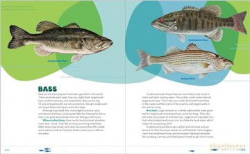 Let's Learn to Fish!: Everything You Need to Know to Start Freshwater Fishing - Dan Armitage [KSIĄŻKA]