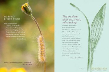 The Generosity of Plants: Shared Wisdom from the Community of Herb Lovers - Rosemary Gladstar [KSIĄŻKA]