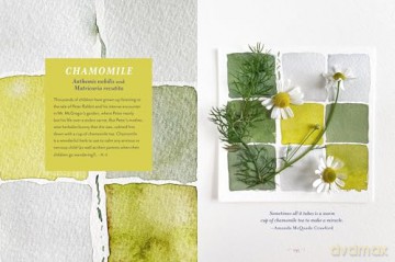 The Generosity of Plants: Shared Wisdom from the Community of Herb Lovers - Rosemary Gladstar [KSIĄŻKA]