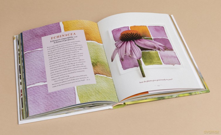 The Generosity of Plants: Shared Wisdom from the Community of Herb Lovers - Rosemary Gladstar [KSIĄŻKA]