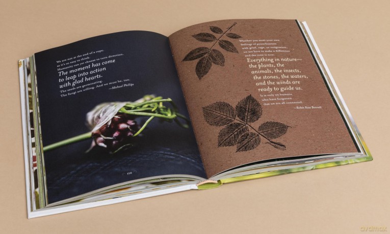 The Generosity of Plants: Shared Wisdom from the Community of Herb Lovers - Rosemary Gladstar [KSIĄŻKA]