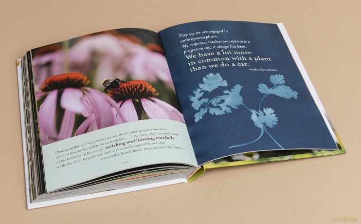 The Generosity of Plants: Shared Wisdom from the Community of Herb Lovers - Rosemary Gladstar [KSIĄŻKA]