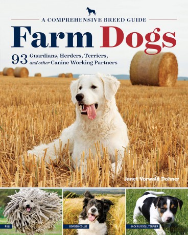 Farm Dogs: A Comprehensive Breed Guide To 93 Guardians, Herders, Terriers, And Other Canine Working Partners - Vorwald, Janet Dohner [KSIĄŻKA]
