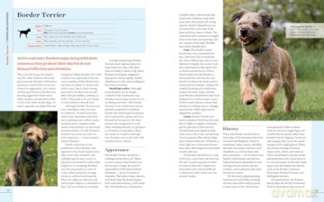 Farm Dogs: A Comprehensive Breed Guide To 93 Guardians, Herders, Terriers, And Other Canine Working Partners - Vorwald, Janet Dohner [KSIĄŻKA]