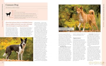 Farm Dogs: A Comprehensive Breed Guide To 93 Guardians, Herders, Terriers, And Other Canine Working Partners - Vorwald, Janet Dohner [KSIĄŻKA]