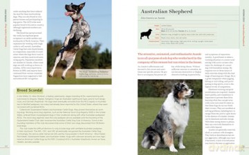 Farm Dogs: A Comprehensive Breed Guide To 93 Guardians, Herders, Terriers, And Other Canine Working Partners - Vorwald, Janet Dohner [KSIĄŻKA]