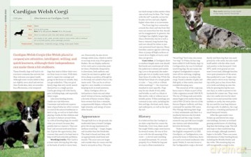 Farm Dogs: A Comprehensive Breed Guide To 93 Guardians, Herders, Terriers, And Other Canine Working Partners - Vorwald, Janet Dohner [KSIĄŻKA]