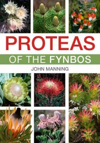 Proteas of the Fynbos - John Manning [KSIĄŻKA]