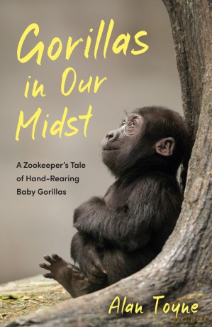 Gorillas in Our Midst: A Zookeeper's Tale of Hand-Rearing Baby Gorillas - Alan Toyne [KSIĄŻKA]