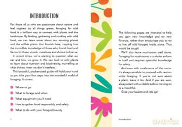 The Little Book of Foraging: Practical Advice and Handy Hints for Aspiring Foragers - Kitty Greenbrown [KSIĄŻKA]
