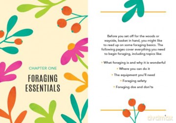 The Little Book of Foraging: Practical Advice and Handy Hints for Aspiring Foragers - Kitty Greenbrown [KSIĄŻKA]