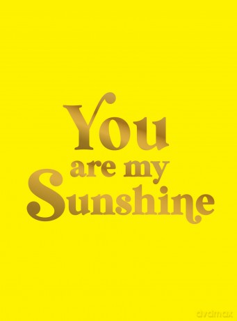 You Are My Sunshine: Uplifting Quotes for an Awesome Friend [KSIĄŻKA]