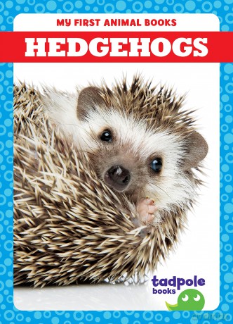 Hedgehogs (My First Animal Books) - Marie Brandle [KSIĄŻKA]