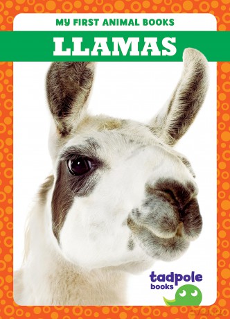Llamas - Marie Brandle [KSIĄŻKA]