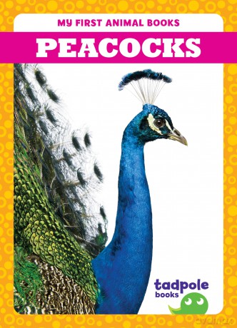 Peacocks (My First Animal Books) - Natalie Deniston [KSIĄŻKA]