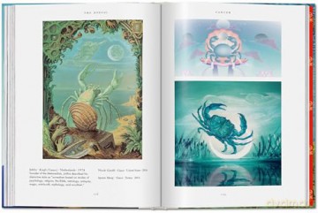 Astrology. The Library of Esoterica - Andrea Richards [KSIĄŻKA]