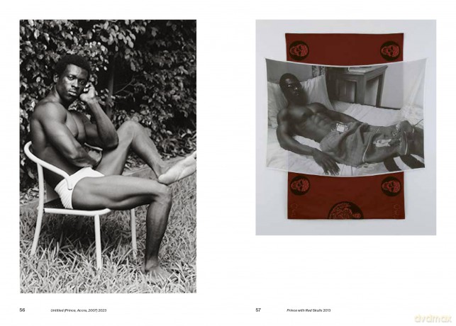 Tate Photography: Lyle Ashton Harris (Tate Photography Series 3:3) - Fiontán Moran [KSIĄŻKA]
