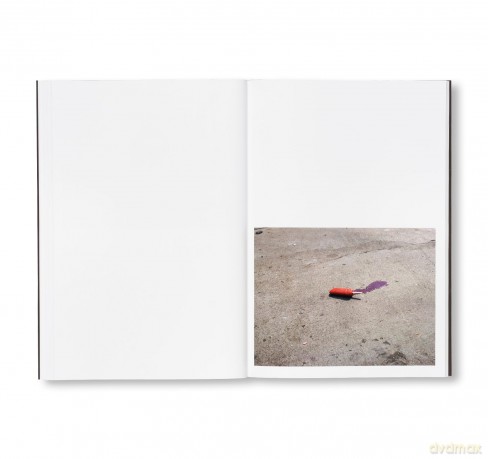 Californian Wildflowers - Pieter Hugo [KSIĄŻKA]