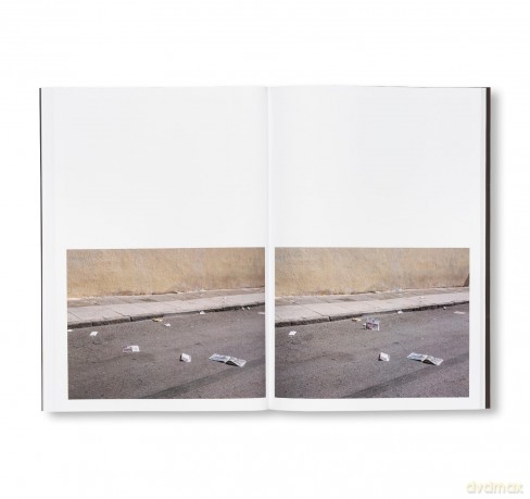 Californian Wildflowers - Pieter Hugo [KSIĄŻKA]