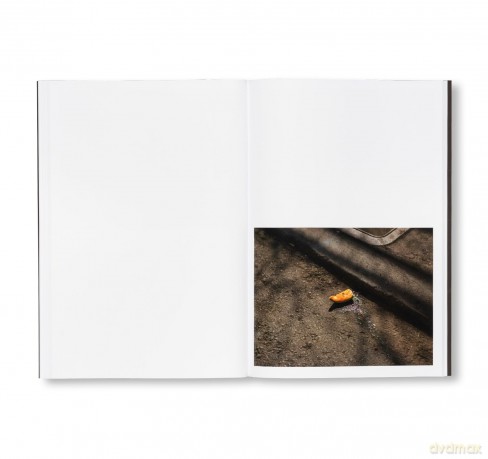 Californian Wildflowers - Pieter Hugo [KSIĄŻKA]