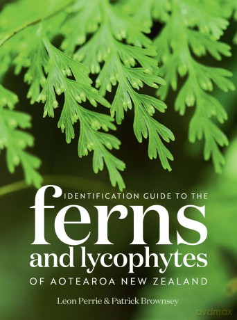 Identification Guide to the Ferns and Lycophytes of Aotearoa New Zealand - Leon Perrie [KSIĄŻKA]