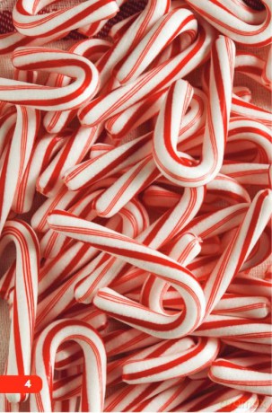 How Candy Canes Are Made (Science: Informational Text) - Danica Kassebaum [KSIĄŻKA]