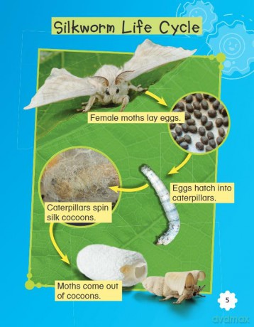 Raising Silkworms (Smithsonian: Informational Text) - Anne Montgomery [KSIĄŻKA]